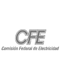 CFE (Comisión Federal de Electricidad)